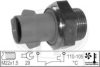 ERA 330591 Temperature Switch, radiator fan